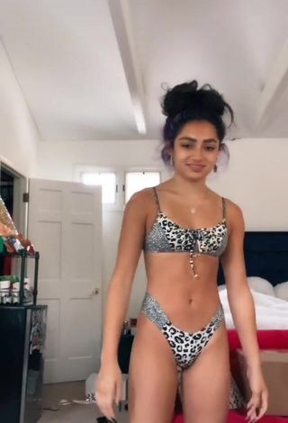 1. Avani Gregg in Sexy Leopard Bikini