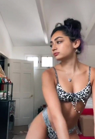 3. Avani Gregg in Sexy Leopard Bikini