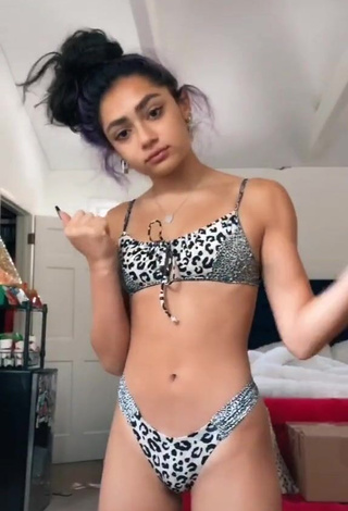 4. Avani Gregg in Sexy Leopard Bikini