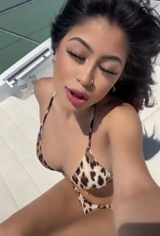 3. Hot Desiree Montoya Shows Cleavage in Leopard Bikini on a Boat