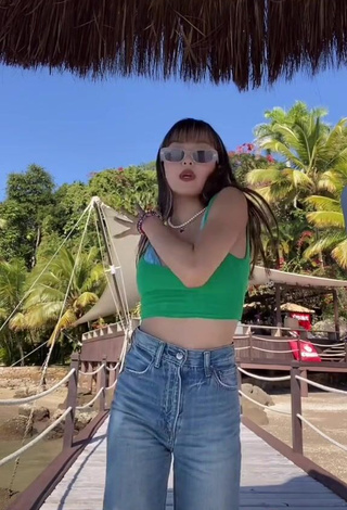 Hot Hina Yoshihara in Green Crop Top