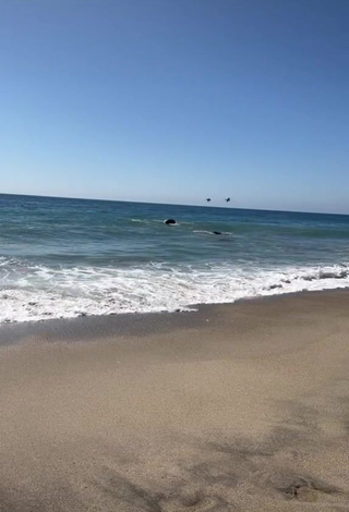 1. Fine Maddy Belle Shows Cleavage in Sweet Bikini at the Beach