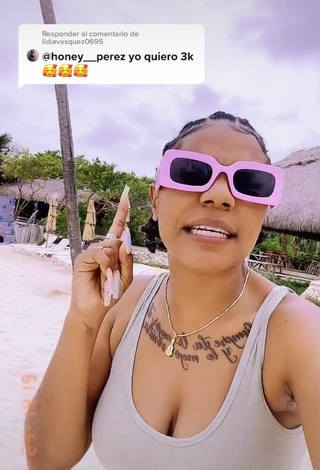 3. Sexy Honey Perez Shows Cleavage in Grey Crop Top at the Beach