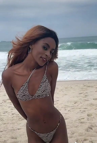 3. Hot diveludo Shows Cleavage in Zebra Bikini at the Beach