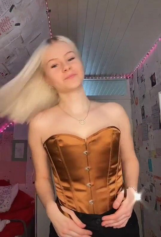 1. Hot Jennifer Erica in Brown Corset