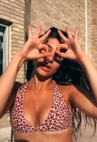 1. Sexy Isabella Diakomanolis in Leopard Bikini Top