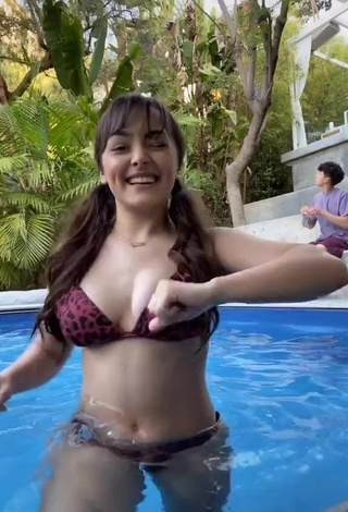 Sexy Hailey Orona in Leopard Bikini at the Swimming Pool