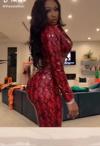 Sexy Megan Thee Stallion Shows Big Butt