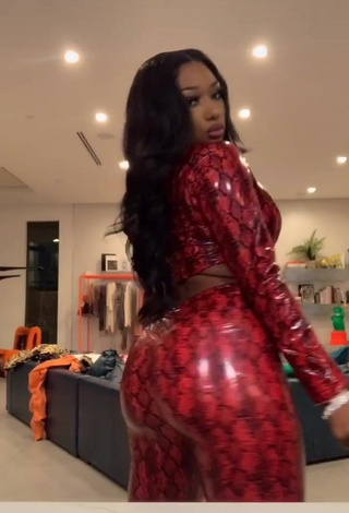 3. Sexy Megan Thee Stallion Shows Big Butt