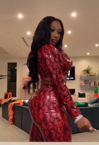 4. Sexy Megan Thee Stallion Shows Big Butt